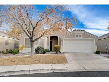 Charming single-story home featuring a two-car garage, complemented by a well-maintained, low-water landscape at 2517 New Salem Ave, Henderson, NV 89052