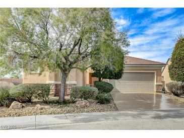 Charming single-story home with a well-maintained front yard, mature trees, and a two-car garage at 2204 Bay Thrush Way, North Las Vegas, NV 89084