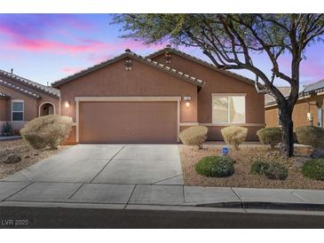 Charming single story home featuring a two car garage, desert landscaping and beautiful sunset sky at 1009 Fishing St, Henderson, NV 89011