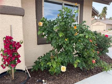 Lush landscaping and a mature rose bush add curb appeal to this well-maintained property at 845 Holly Lake Way, Henderson, NV 89002