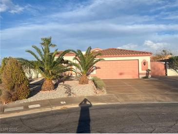 Charming single-story home featuring a two-car garage and desert landscaping with palm trees and rock accents at 441 Daylin Ct, Henderson, NV 89015
