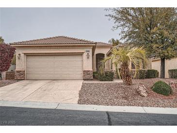 Charming single-story home with a two-car garage and well-maintained front yard landscaping at 10580 Riva Grande Ct, Las Vegas, NV 89135