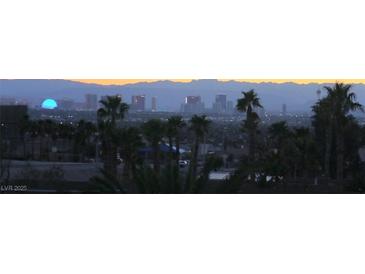 Expansive city skyline view featuring palm trees and distant mountains at dusk at 6915 Cedar Basin Ave, Las Vegas, NV 89142