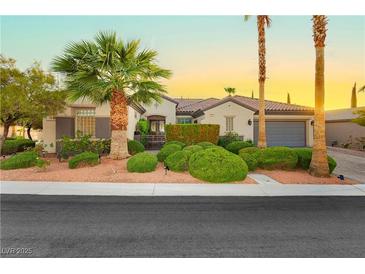 Charming single-story home featuring a desert landscape and a two-car garage at 2859 Hayden Creek Ter, Henderson, NV 89052