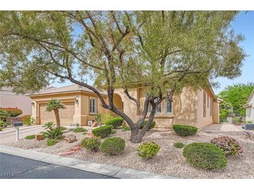 Charming single-story home with a well-manicured desert landscape, mature trees, and a two-car garage at 4187 Pacifico Ln, Las Vegas, NV 89135