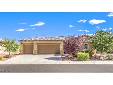 Beautiful single story home with a three car garage and desert landscaping at 5500 E Volterra Dr, Pahrump, NV 89061