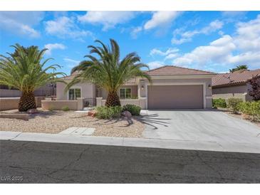 Charming single-story home featuring a two-car garage and mature landscaping with palm trees at 2349 Orangeburg Pl, Henderson, NV 89044