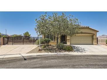 Charming single-story home with a well-maintained yard, two car garage and desert landscaping at 1197 Bear Head St, Henderson, NV 89011