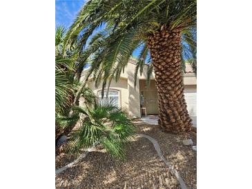 Charming single-story home with desert landscaping and mature palm trees in the front yard at 5305 Bright Sun Ct, Las Vegas, NV 89130