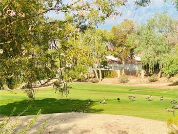 Scenic golf course view with lush greenery, mature trees, and geese on the green at 5381 Waving Sage Dr, Las Vegas, NV 89149