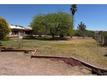 Expansive front yard with mature trees and desert landscaping, perfect for outdoor activities and relaxation at 810 Catherine Ave, Overton, NV 89040