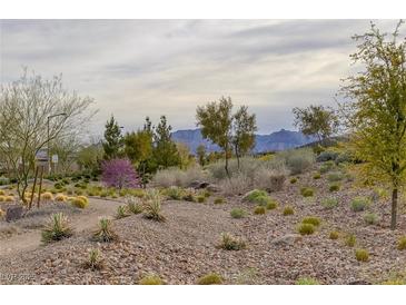 Desert community landscape with trees and mountain views, offering a serene and natural environment at 12429 Alpenglow Ct, Las Vegas, NV 89138