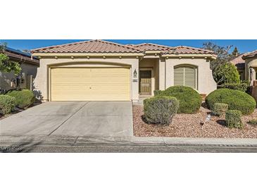 Charming single-story home featuring a two-car garage, well-maintained landscaping, and a tile roof at 10667 Casa Bianca St, Las Vegas, NV 89141
