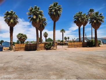Desert landscape, fenced yard, mature palm trees in this rural Nevada residence at 542 Bonelli Ave, Overton, NV 89040