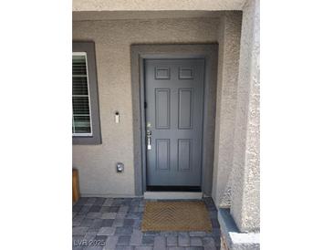 A modern gray front door featuring classic paneled design and modern hardware for a welcoming entrance at 5669 Steampunk St, Las Vegas, NV 89118