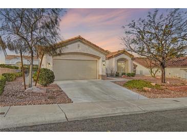 Charming single-story home with a well-manicured front yard and a two-car garage, located in a quiet neighborhood at 9920 Netherton Dr, Las Vegas, NV 89134