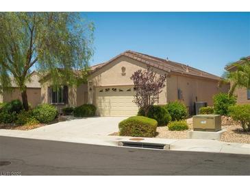Charming single-story home featuring a well-maintained lawn and a two-car garage at 2486 Divine Sky Dr, Henderson, NV 89044