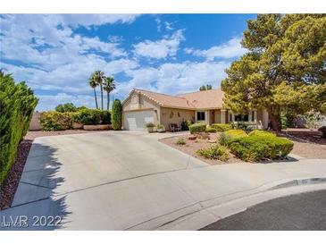 Inviting single-story home with well-manicured landscaping and a spacious driveway at 151 Enloe St, Henderson, NV 89074