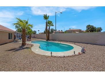 Backyard swimming pool with desert landscaping, mature palms, and privacy walls at 5033 Austrian Dr, Las Vegas, NV 89130