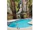 Sparkling community pool offers a refreshing retreat, surrounded by palm trees and lush landscaping at 2605 S Durango Dr # 204, Las Vegas, NV 89117