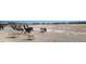 Llamas and goats in a spacious outdoor enclosure at 351 Bunarch Rd, Pahrump, NV 89060