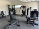 Fully equipped home gym featuring various exercise machines at 7385 Heron Canyon Ct, Las Vegas, NV 89117