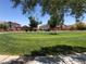 Green community park features mature trees, a grassy lawn, and neighborhood homes in the background at 7421 Old Compton St, Las Vegas, NV 89166