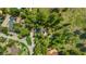 Aerial view of homes nestled among mature trees and vegetation at 4205 Mont Blanc Way, Las Vegas, NV 89124