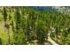 Aerial view of a home nestled in a forest with a mountain backdrop at 4205 Mont Blanc Way, Las Vegas, NV 89124