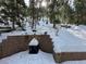 Backyard patio area with retaining wall covered in snow surrounded by a forest of trees at 4205 Mont Blanc Way, Las Vegas, NV 89124