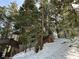 Exterior shot of a home through the trees with snow covering the ground at 4205 Mont Blanc Way, Las Vegas, NV 89124