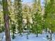 Cozy A-frame cabin surrounded by a lush forest; A perfect mountain getaway at 4205 Mont Blanc Way, Las Vegas, NV 89124