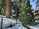 View of home tucked among trees with fence in foreground and mountains in the background at 4205 Mont Blanc Way, Las Vegas, NV 89124