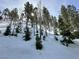 Snowy landscape with tall trees, perfect for winter activities and enjoying the beauty of nature at 4205 Mont Blanc Way, Las Vegas, NV 89124