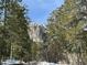 Snowy, majestic mountain is framed by dense evergreen trees in a scenic outdoor shot at 4205 Mont Blanc Way, Las Vegas, NV 89124