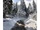 Snowy street view with mature evergreens covered with snow at 4205 Mont Blanc Way, Las Vegas, NV 89124