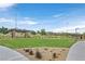 Scenic park with covered picnic area and grassy lawn at 12295 Skyracer Dr, Las Vegas, NV 89138