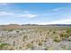 Arid landscape featuring native plants and distant mountains, offering a natural and serene environment at 12295 Skyracer Dr, Las Vegas, NV 89138