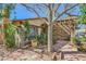 Home exterior featuring brick pathway, lush green plants, mature tree, and brick accent wall at 4745 Desert Vista Rd, Las Vegas, NV 89121
