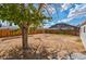 Backyard with large tree and wooden fence at 4313 El Conlon Ave, Las Vegas, NV 89102