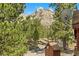 Exterior view of house with mature trees and mountain view at 2196 Via Dulcedo St, Mount Charleston, NV 89124