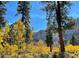Scenic fall foliage with golden aspen trees nestled against a backdrop of mountains and a clear blue sky at 2196 Via Dulcedo St, Mount Charleston, NV 89124