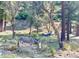 This property features a scenic landscape with donkeys roaming freely among mature trees at 2196 Via Dulcedo St, Mount Charleston, NV 89124