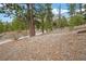 Sloping gravel lot with mature trees at 2196 Via Dulcedo St, Mount Charleston, NV 89124