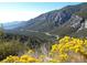 This property offers mountain views with beautiful wildflowers that grow in the native landscape at 2196 Via Dulcedo St, Mount Charleston, NV 89124