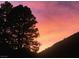 Beautiful sunset view featuring pine trees and a mountain against a vibrant pink and orange sky at 2196 Via Dulcedo St, Mount Charleston, NV 89124