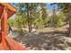 Wood porch with wooded scenery at 2196 Via Dulcedo St, Mount Charleston, NV 89124