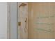 Close up of a glass enclosed shower with gold accents and shower head at 17 Winding Rd, Henderson, NV 89052