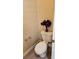 This is a half bath with a toilet and a purple flower at 9809 Miss Peach Ave, Las Vegas, NV 89145