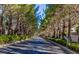 Street view of a neighborhood featuring an asphalt road lined with lush green trees at 9809 Miss Peach Ave, Las Vegas, NV 89145